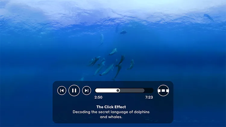 NYT VR's playback controls over an underwater 360° scene — play, skip, and a scrub bar for 'The Click Effect', a story about the language of dolphins and whales