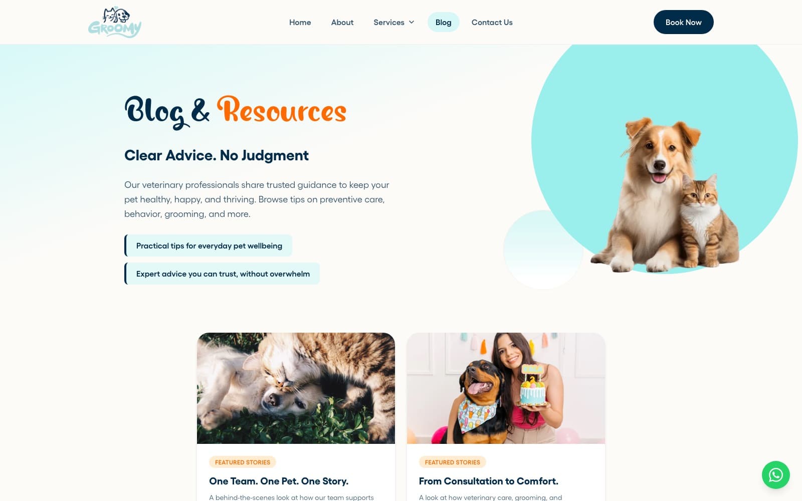 GroomyPet 'Blog & Resources' page: the headline 'Clear Advice. No Judgment' beside a dog and cat in a teal circle, above two featured story cards